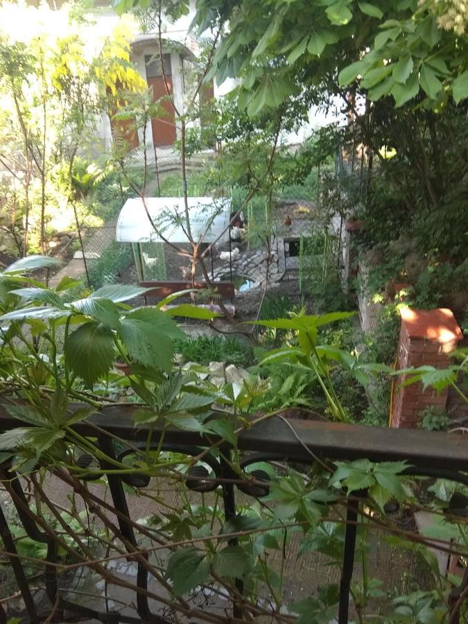 Mangal And Terrace In Center Apartment Lemberg Exterior foto