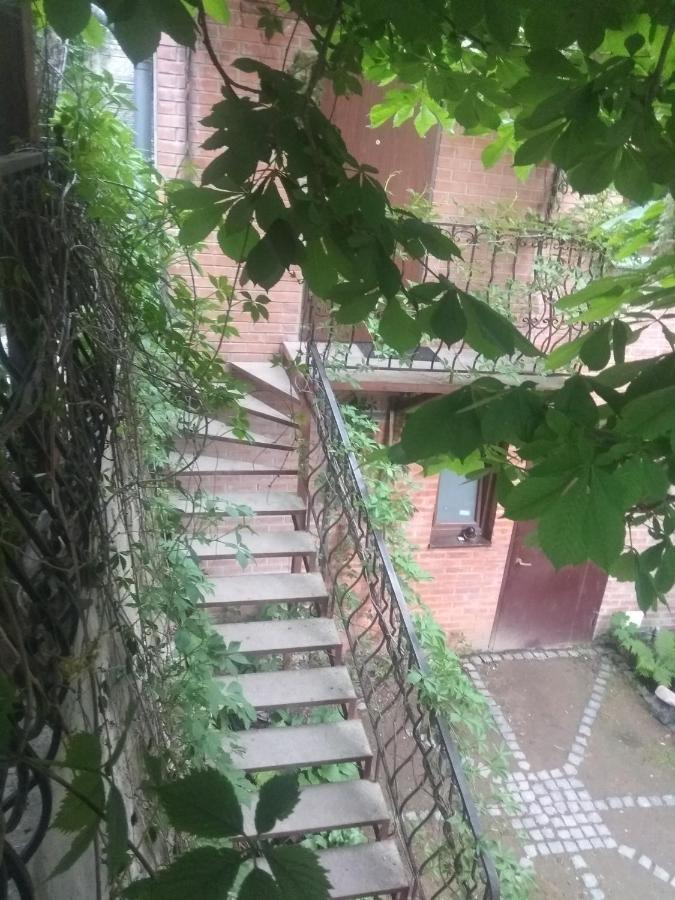 Mangal And Terrace In Center Apartment Lemberg Exterior foto