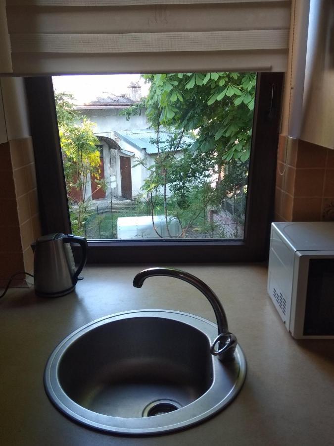 Mangal And Terrace In Center Apartment Lemberg Exterior foto
