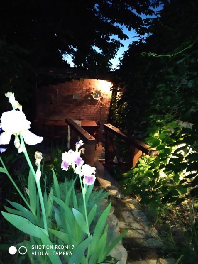 Mangal And Terrace In Center Apartment Lemberg Exterior foto